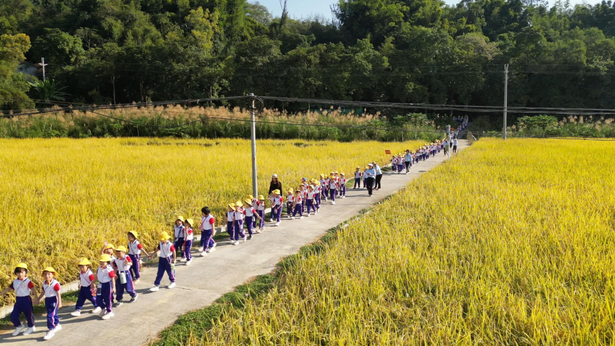 郁南縣永紅幼兒園開展2024年走進農(nóng)村生活體驗活動2.jpg